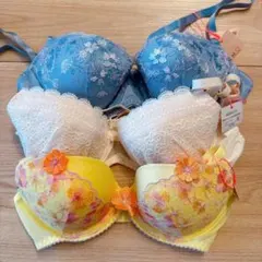 Item thumbnail for item cd24a252-a708-45b1-9822-9688f41564d3