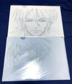 PSYCHO-PASS 槙島聖護 シークレット クリアファイル PSYCHO-PASS 槙島聖護 シークレット クリアファイル