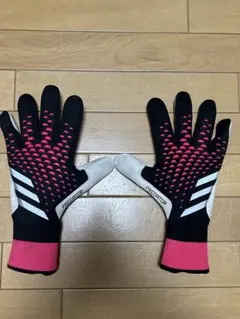 Predator キーパーグローブ 9号　1.0