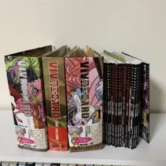 ONE ＰＩＥＣＥ図鑑　ビブルカード17種インデックス1種　バインダー3種