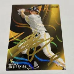 2025年最新】柳田悠岐 サインの人気アイテム - メルカリ