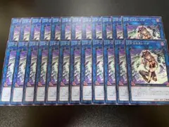 遊戯王　I:Pマスカレーナ　ノーマル　24枚