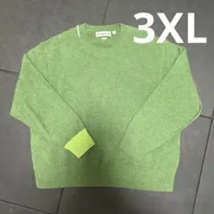 ユニクロ×アニヤハインドマーチ プレミアムラムクルーネックセーター　3XL