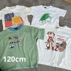 半袖Tシャツ　4点　110〜120 まとめ売り　マーキーズ　グリーンレーベルのサムネイル