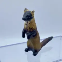 チョコQ 日本の動物 第7弾 ツチクジラ【海洋堂】ブック無 - メルカリ