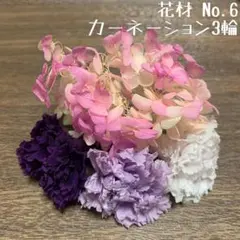 花材 No.6 カーネーション3輪セット
