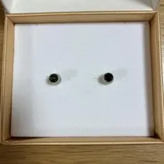 Item thumbnail for item 3bca32a3-1d93-4f75-b6b8-fe63accf6e47