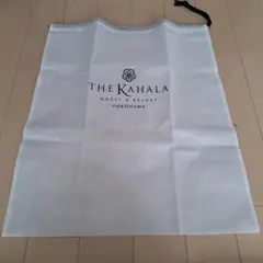 Item thumbnail for item f1b6d94f-39c8-4b40-a087-4e14d8539193