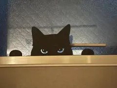 [サマーセール] ひょっこり黒猫オーナメント｜窓・棚にちょこんと
