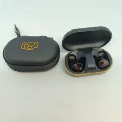 AVIOT TE-W1-PNK ピヤホン8 ワイヤレスイヤホン　ケース付のサムネイル