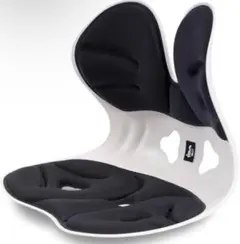 【ドイツ レッドドット賞受賞ブランド】(デズヤ）第二世代 姿勢矯正 椅子登場！