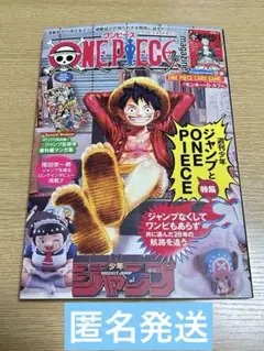 ワンピースマガジン20 カードなし　ONE PIECE magazine
