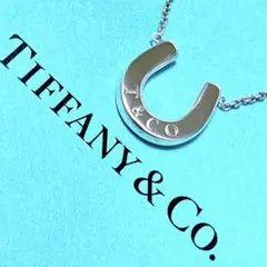 2026年最新】ティファニーホースシューの人気アイテム - メルカリ