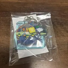 USJ ユニバ ノベルティ 通販 スヌーピー ピーナッツ