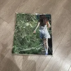 【新品】JENNIE 写真展 トートバッグ グリーン BLACKPINK ジェニ