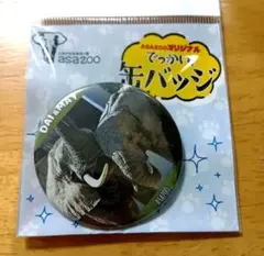 安佐動物公園 オリジナル でっかい缶バッジ マルミミゾウ ダイ＆メイ　動物園