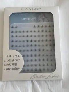 LANKIZ つけまつげ Cluster Lashes