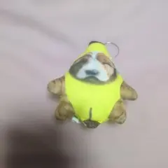 プライズ品