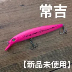 2026年最新】常吉ルアーの人気アイテム - メルカリ