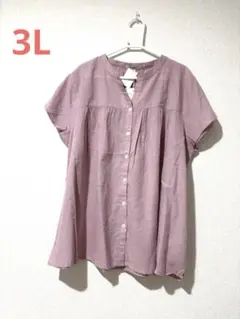 大きいサイズ 新品 フレンチスリーブ ブラウス 3L