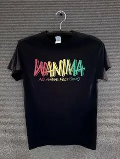 WANIMA バンドTシャツ 両面プリント ブラック GILDAN製　Sサイズ