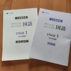 【未使用品】Z会　中1　アドバンストトレーニング　国語　算数　英語 2025年最新】z会アドバンスト 中1の人気アイテム - メルカリ