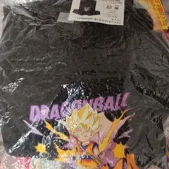 Item thumbnail for item 047eeb88-f4c2-4171-9496-019da00ddb36