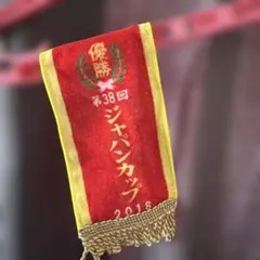 第38回 ジャパンカップ 2018 アーモンドアイ号 優勝記念ペナント