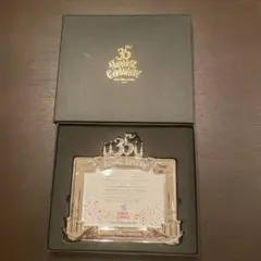 東京ディズニーリゾート 35周年記念フォトフレーム