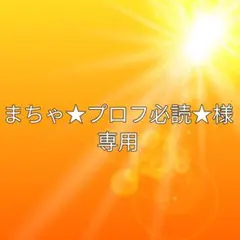 まちゃ★プロフ必読★様専用