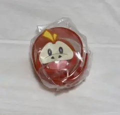 ポケモン　ライトブレス　ホゲータ