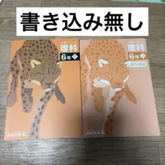 2026年最新】予習シリーズ 6年の人気アイテム - メルカリ