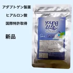 Item thumbnail for item 1ffdf59a-edf1-4157-923a-5f0a1252243c