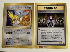 当時物】ポケモン コロコロ スペシャルジャンボカード 2枚セット