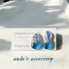 No.120✴︎旅するシー陶器のピアス・イヤリング