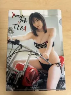 【値下げ中】夜道雪　クリアファイル　2種