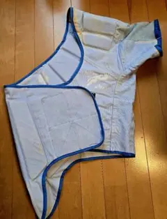 Item thumbnail for item 0cd02ac1-eadc-47e3-9de7-b06ae6dee66f