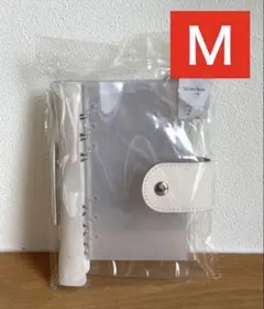 Item thumbnail for item 1c8b3437-601d-4f20-97f6-31345231e51f