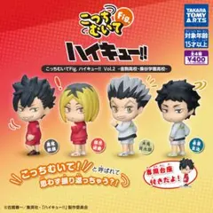 ハイキュー!! こっちむいてFig. Vol.2　4点セット