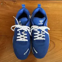 Item thumbnail for item 8c12512f-aeba-46d7-bd0e-3996b6d337b1