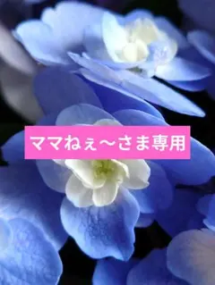 ママねぇ～様 リクエスト 2点 まとめ商品