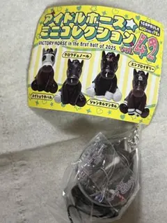 アスコリピチェーノ　ヴィクトリアマイル　アイドルホースミニコレクション　42