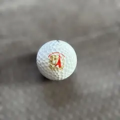 タイトリスト（Titleist）製の限定コラボゴルフボール