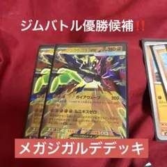 メガジガルデEXデッキ 約60枚