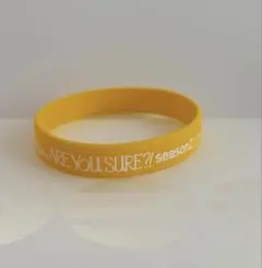 Are you Sure!? season2 イゲマジャ ラバーバンド BTS