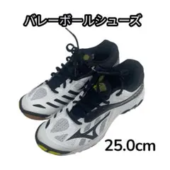 Mizuno バレーボールシューズ ウェーブライトニング　25.0cm