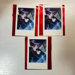 CrazyRaccoon ランダム セルフィーカード 2 タイプA モンド