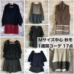 舞様　レディース服　コーデ売り　まとめ売り　20点　春　夏　秋　冬 2025年最新】1週間コーデまとめ売りの人気アイテム - メルカリ