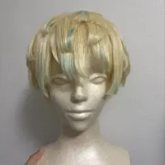 2026年最新】緋八マナ ウィッグの人気アイテム - メルカリ