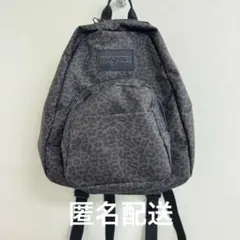 ＜JANSPORT＞HALF PINT ミニリュック レオパードのサムネイル